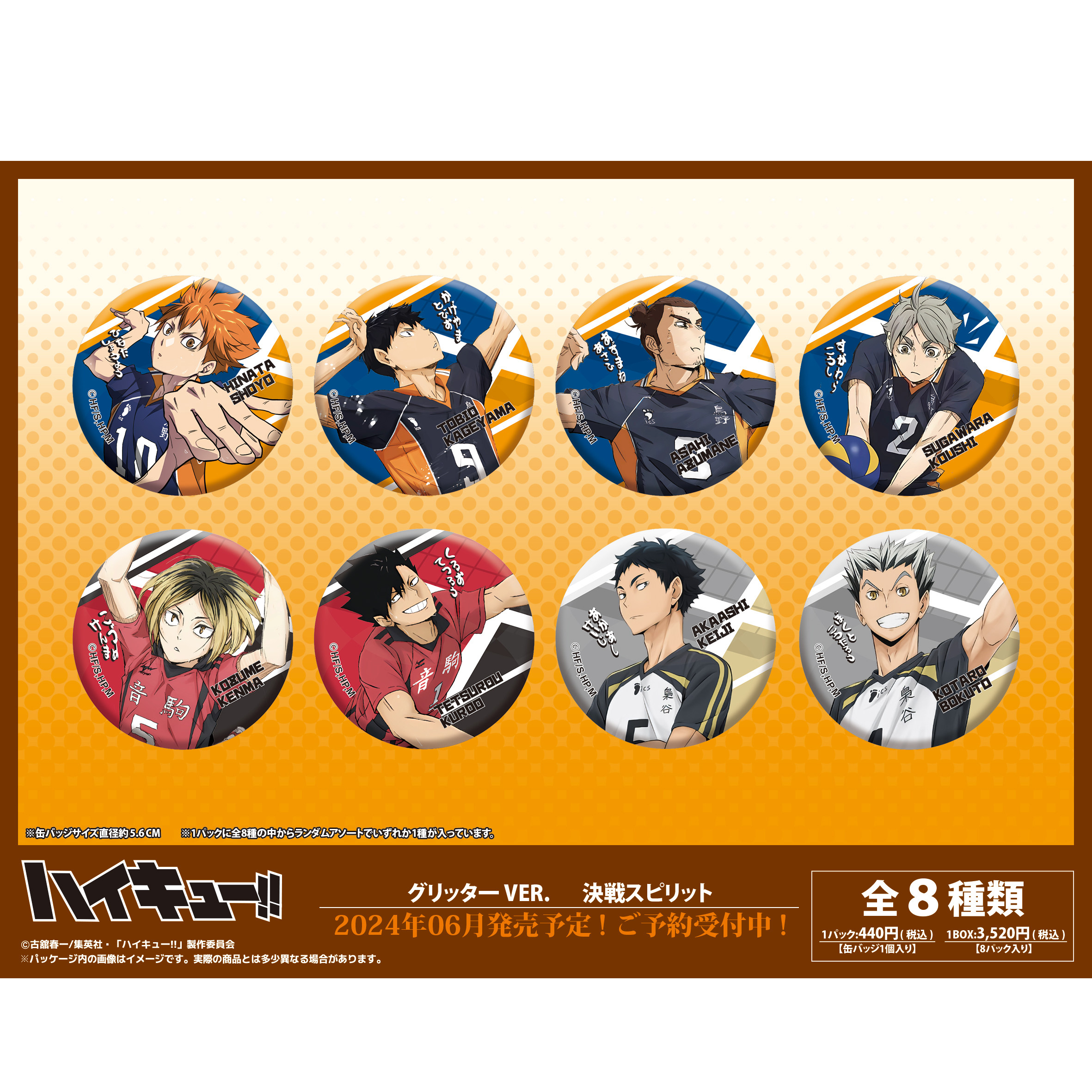 【排球少年】日谷决对精神系列二创吧唧盲抽徽章周边盲抽抱盒现货