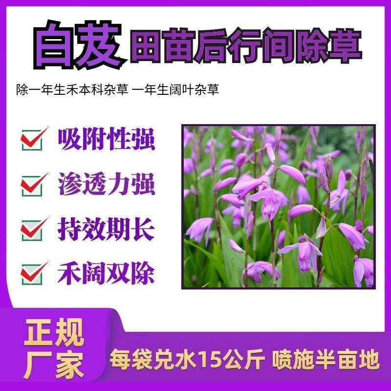 白芨专用除草剂香付子除草专用剂白芨苗后除草烂根剂拜山除草神器