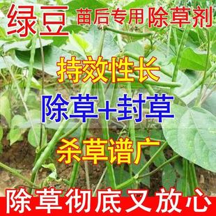 绿豆除草剂打野绿豆除草剂拉拉秧除草豆地除草烂根剂杂草一扫光