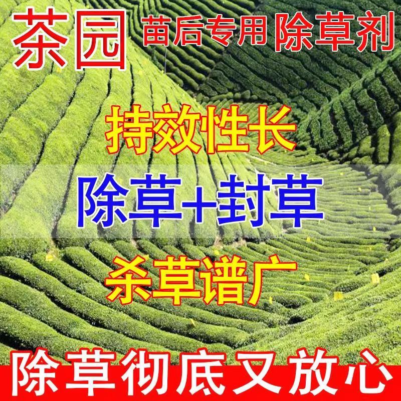 茶叶专用农药除草安全不伤苗除草神器连根烂三年不长草茶园除草剂