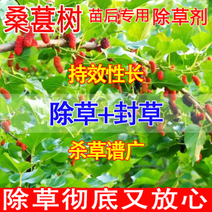 桑葚树除草剂果园除草烂根剂安全不伤苗除草神器连根烂杂草一扫光
