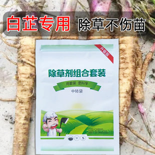 白芷除草剂农达除草烂根剂白芷田除草剂苗后安全强效封闭除草药