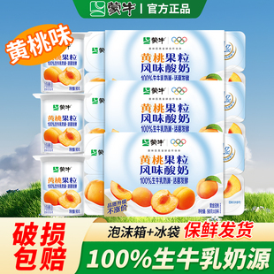 蒙牛黄桃味八连杯果粒酸奶益生菌草莓圆周杯酸牛奶原味8早餐儿童