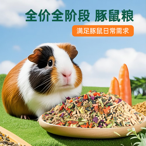 荷兰猪豚鼠专用主粮主食饲料
