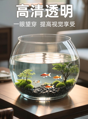 圆形鱼缸家用桌面生态斗鱼缸办公室金鱼专用一体式懒人透明造景缸