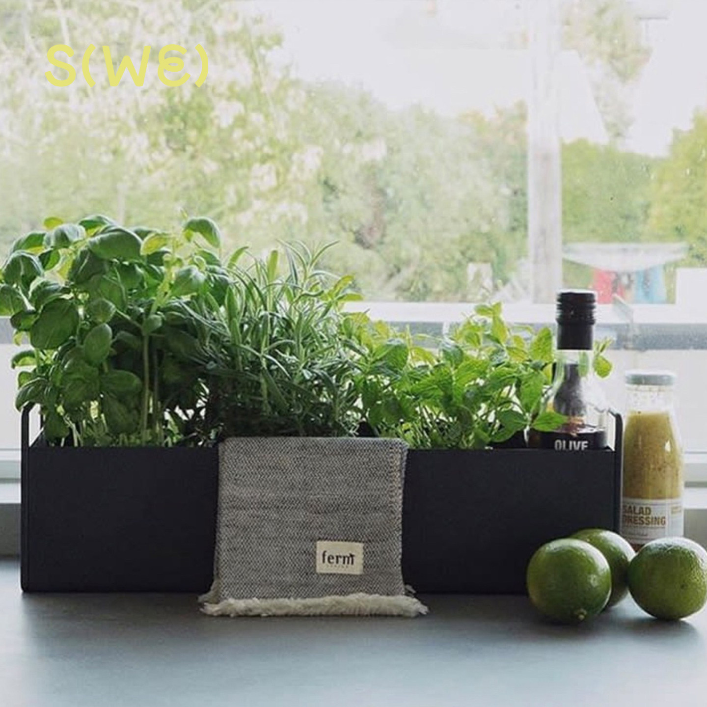 Fermliving plant box植物箱 盆栽 室内 精致花盆 设计感花箱绿植