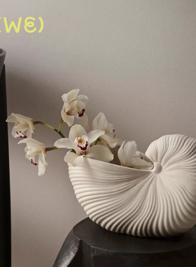 Fermliving shell pot花盆 花瓶 鹦鹉螺 海洋 软装搭配 插花 花器