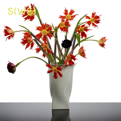 比利时SeraxJosephine曲线花瓶