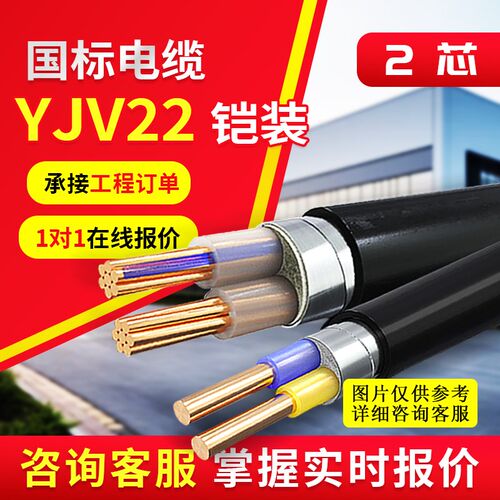 YJV22铠装电缆线0.6/1kv纯铜2芯25 35 50 70 95 120平方电力电缆