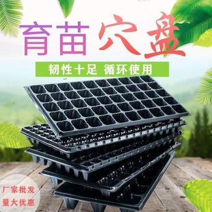草莓穴盘育苗盘21孔32孔50孔72孔105孔128孔多肉托盘玉龙草花秧盘