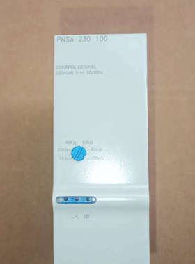 DISIBEINT电子继电器PNSA  230  100