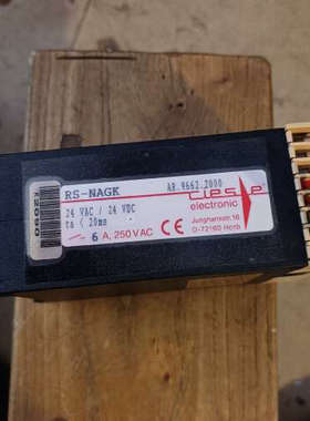 Tlese安全继电器 RS-NAGK  24VAC/24