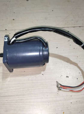 SPG电机S6I06GB-S12CE