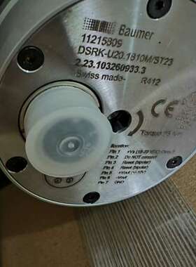 堡盟baumer应变探头DSRK-U20.1810M