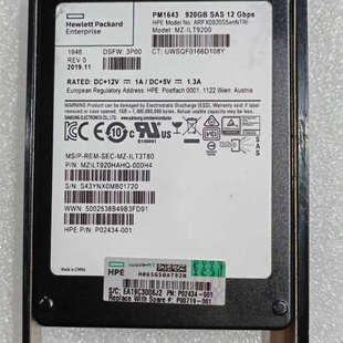 PM1643 P08719 001 HPE 920GB
