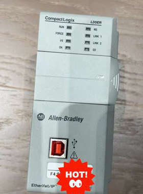 1769-L30ER橙色漂亮，