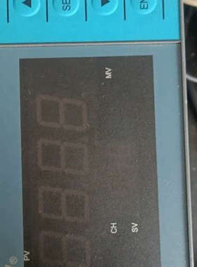 东辉大延仪表DY2000