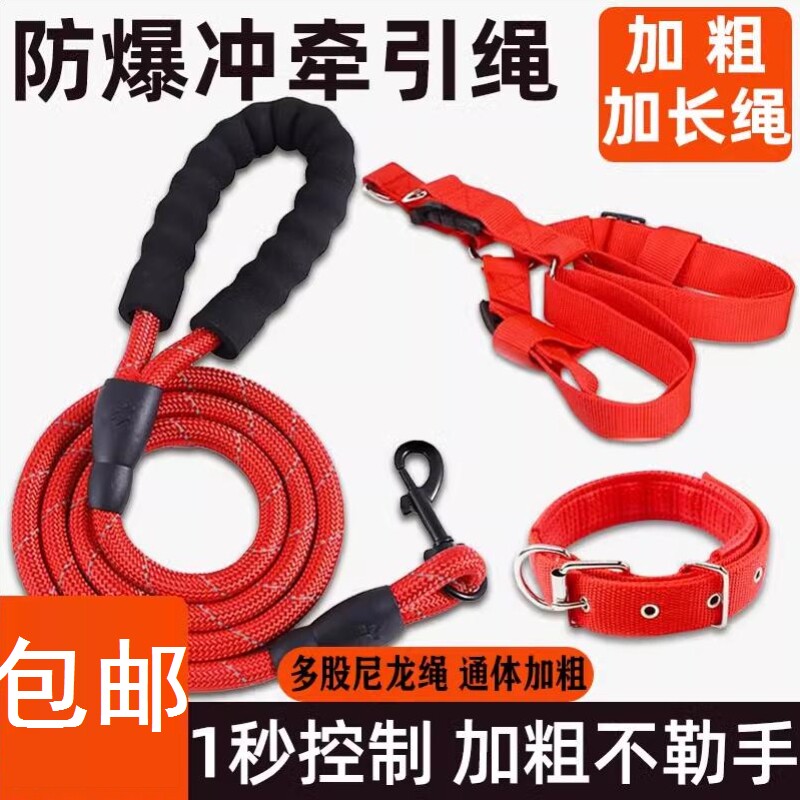 绳狗链胸背狗狗牵引绳狗链子遛狗绳项圈猫绳小型犬泰迪猫咪用品
