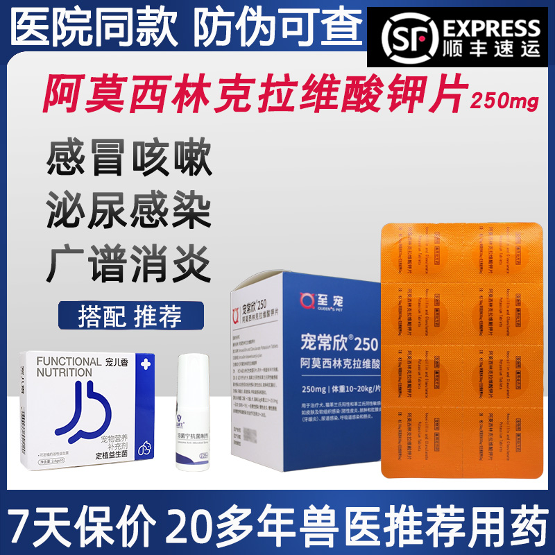 阿莫西林克拉维酸钾片250mg狗猫