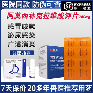 宠物用阿莫西林克拉维酸钾片250mg犬狗猫咪鼻支感冒口服消炎药