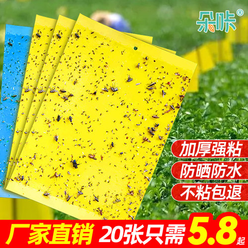 粘虫板物理黏虫双面粘板朵咔园艺