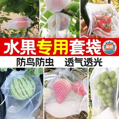 水果套袋防虫防鸟网袋