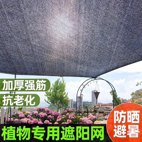 植物防晒遮阳网6针网多肉花卉