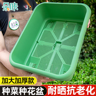 阳台种菜盆专用箱家用大号蔬菜种植箱塑料长方形庭院户外种花花盆