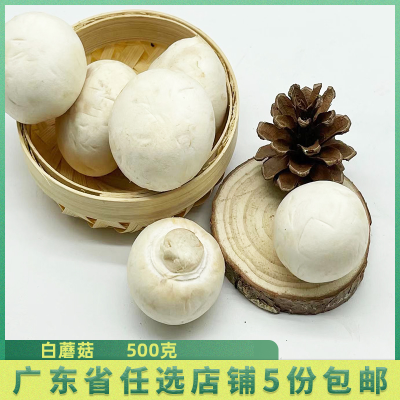新鲜食用菌 白口蘑菌菇 蘑菇白菇 西餐火锅 双孢菇500g(少许变色