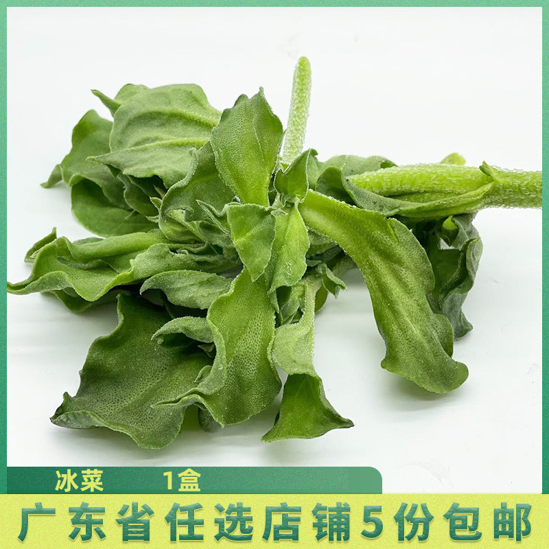 新鲜蔬菜即食冰菜 冰花 冰叶 非洲冰草 生吃蔬菜 沙拉配菜 480克