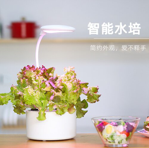 智能水培蔬菜种植机价格 智能水培蔬菜种植机图片 星期三