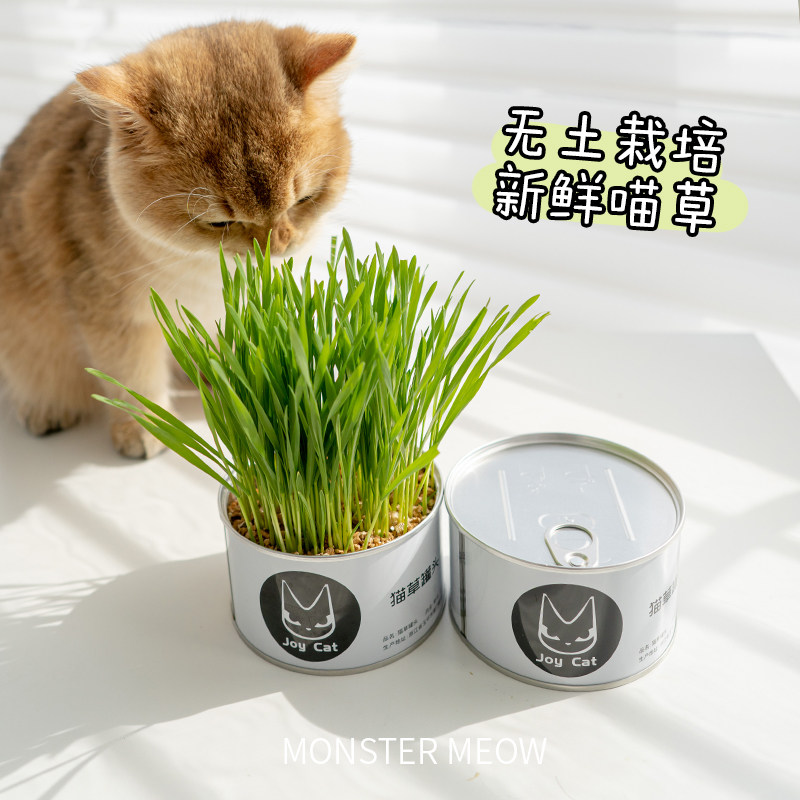 joycat猫草零食罐头猫薄荷懒人种植无土栽培盆栽天然去化毛球洁齿,宠物/宠物食品及用品,猫草/猫草片,淘宝优惠券,粉丝福利购,淘宝优惠卷