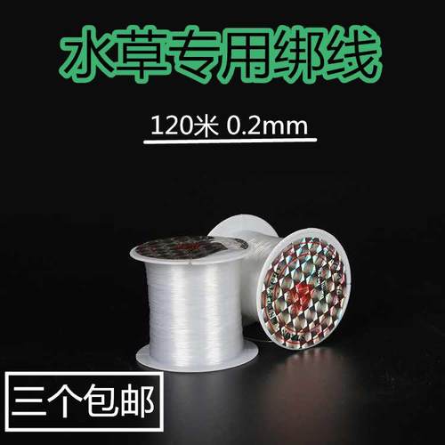固定水草价格 固定水草图片 星期三