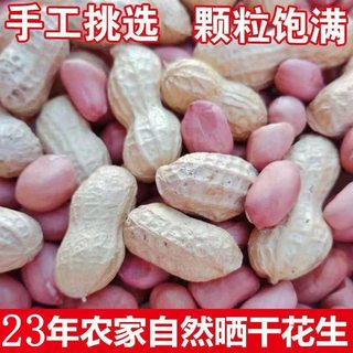 2023年新鲜干花生农家自种带壳生花生粉皮花生3/5斤装可水煮低价