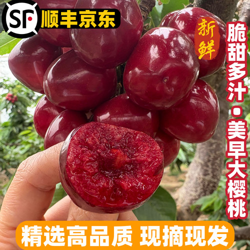 空运山东美早大樱桃新鲜水果当季车厘子现摘现发孕妇宝宝水果