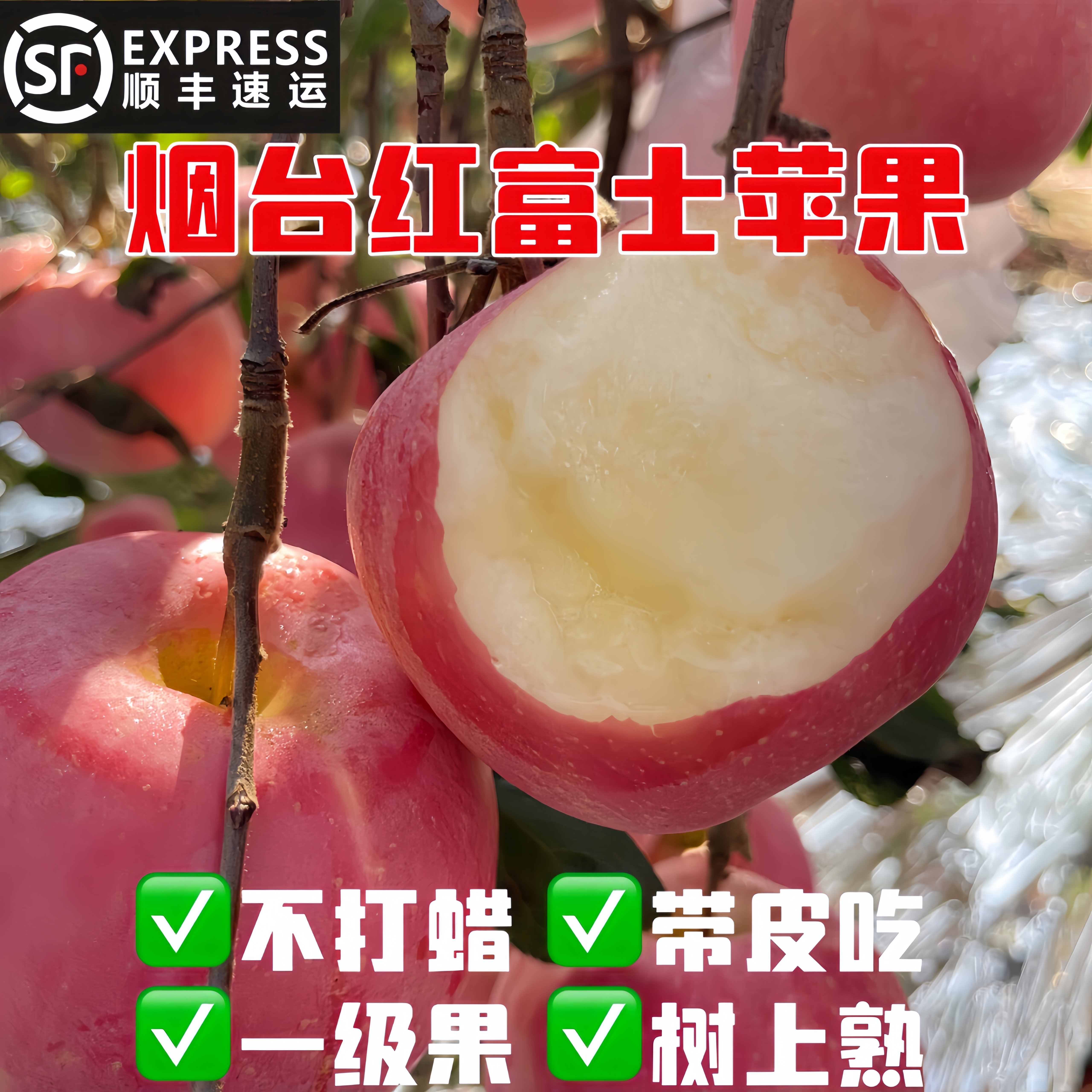 顺丰包邮烟台红富士苹果树上熟不打蜡现摘当季新鲜脆甜精品一级果