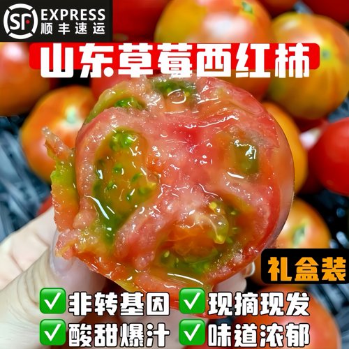 自然熟山东草莓西红柿