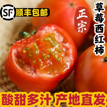 顺丰包邮自然成熟草莓西红柿孕妇宝宝酸甜自家种生吃现摘铁皮柿子