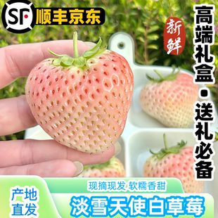 【空运送货上门】淡雪天使白草莓礼盒淡雪公主当季新鲜草莓水果