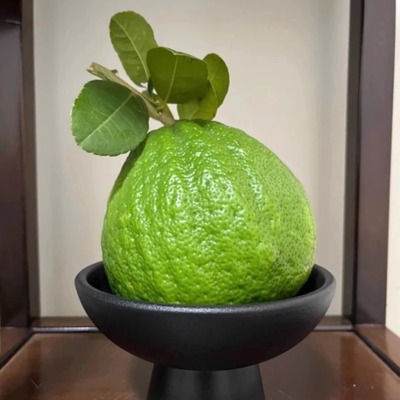 云南香橼新鲜香橼果佛手柑