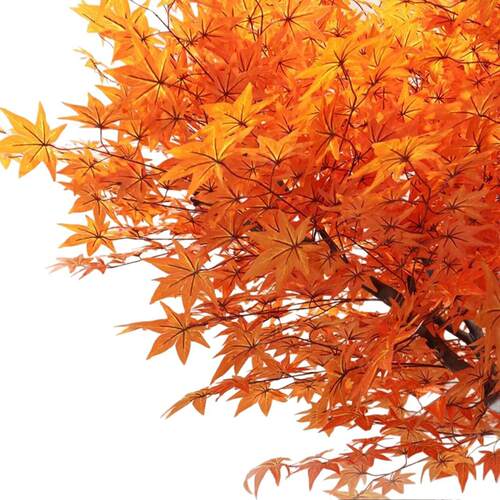 红枫树仿真树大型假树造景禅意庭院工程装饰造型枫叶植物景观橱窗