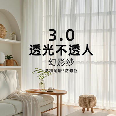 2025新款幻影纱防刮耐磨隔热透光不透人纱帘客厅阳台卧室飘窗白纱