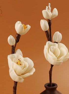 ilobo通草花香薰精油扩香香氛装饰摆件挥发液藤条干花