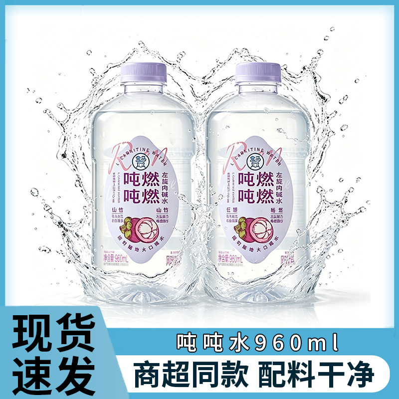 吨吨燃燃左旋肉碱水960ml瓶装饮料电解质水 男生女生夏季运动补水