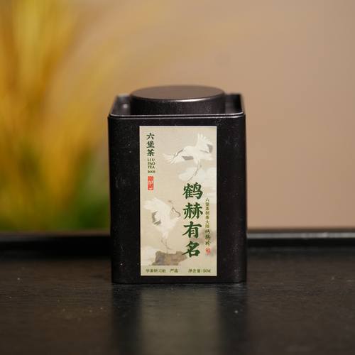 [学茶严选]鹤赫有名2009-广西六堡茶