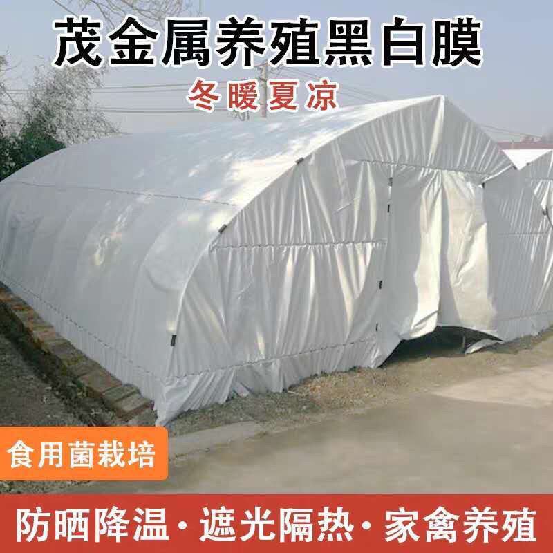 德国进口养殖大棚PE黑白
