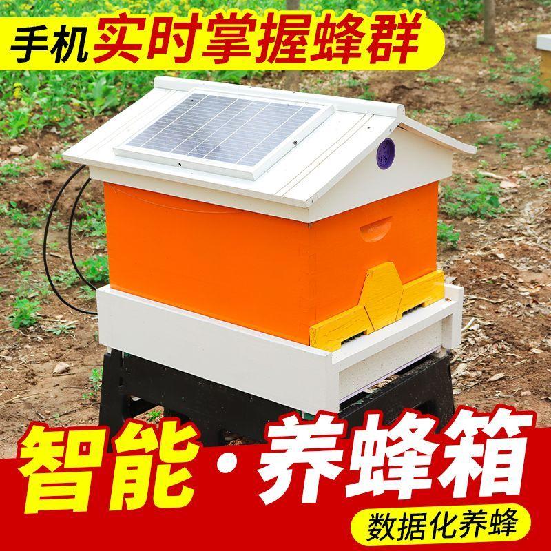 德国蜜蜂箱十框标准全自