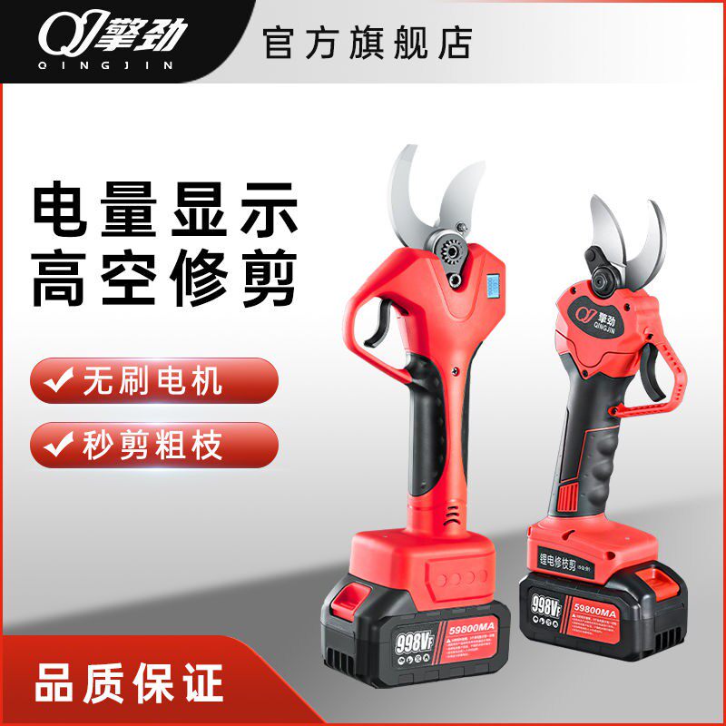 德国【官方正品】擎劲进
