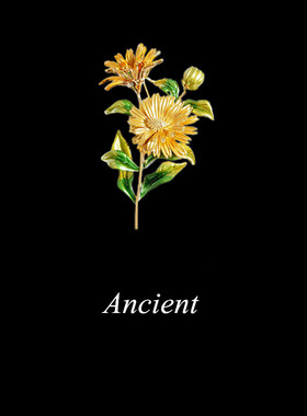 欧美风花卉百搭复古别针送妈妈