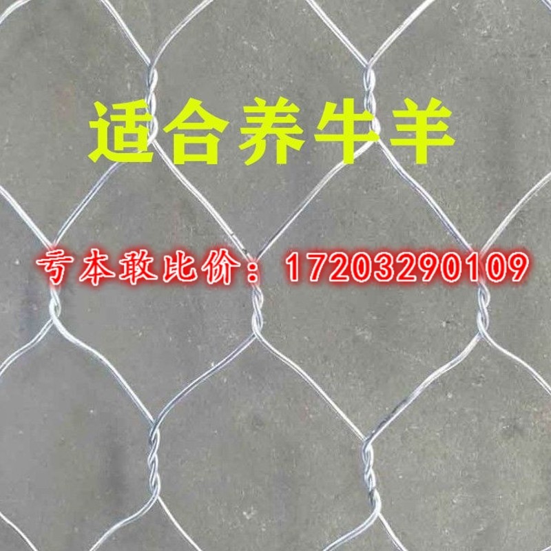 铁丝网护栏网养殖牛羊猪围网拧花网六角网编织装饰钢丝网隔离栏删